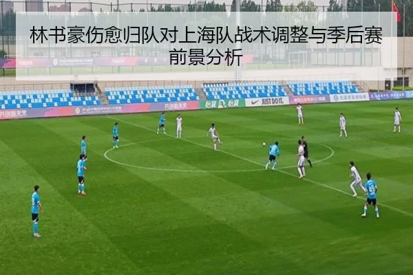 林书豪伤愈归队对上海队战术调整与季后赛前景分析