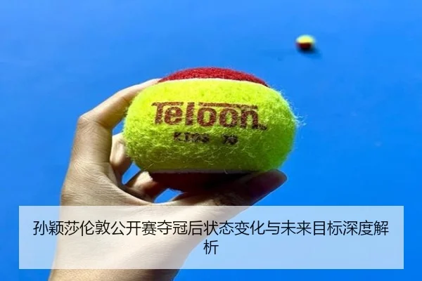 sun-ying-sha-lun-dun-gong-kai-sai-duo-guan-hou-zhuang-tai-bian-hua-yu-wei-lai-mu-biao-shen-du-jie-xi-2-263.jpg