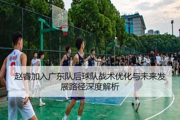 赵睿加入广东队后球队战术优化与未来发展路径深度解析