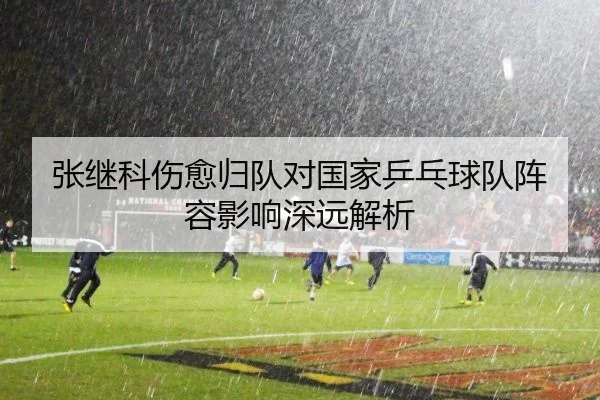 张继科伤愈归队对国家乒乓球队阵容影响深远解析